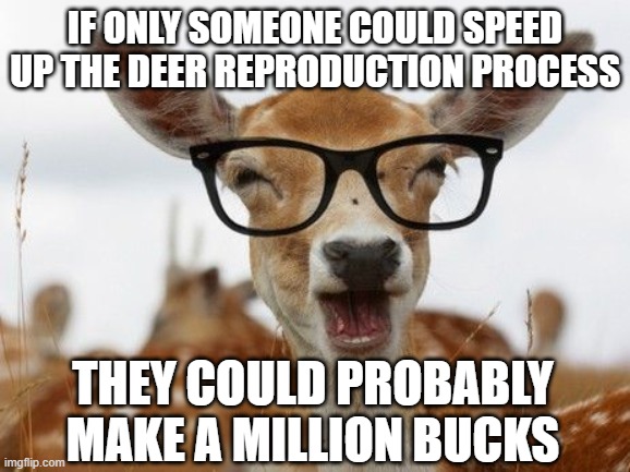 Million Bucks | If only someone could speed up the deer reproduction process; They could probably make a million bucks | image tagged in deer glasses | made w/ Imgflip meme maker