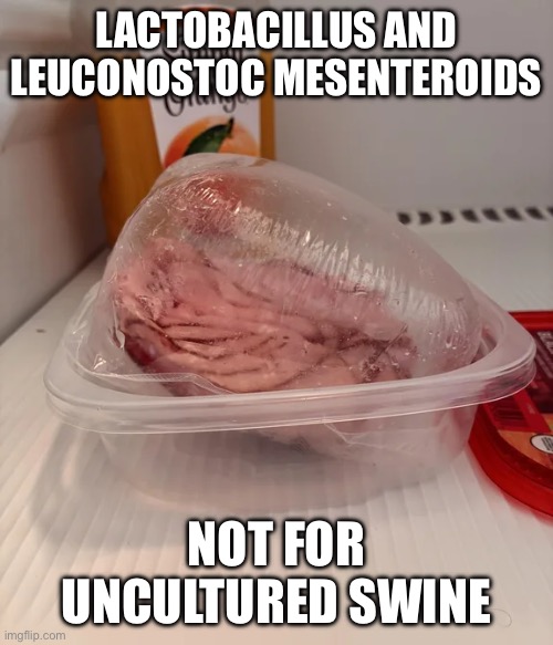 LACTOBACILLUS AND LEUCONOSTOC MESENTEROIDS; Not for uncultured swine | made w/ Imgflip meme maker