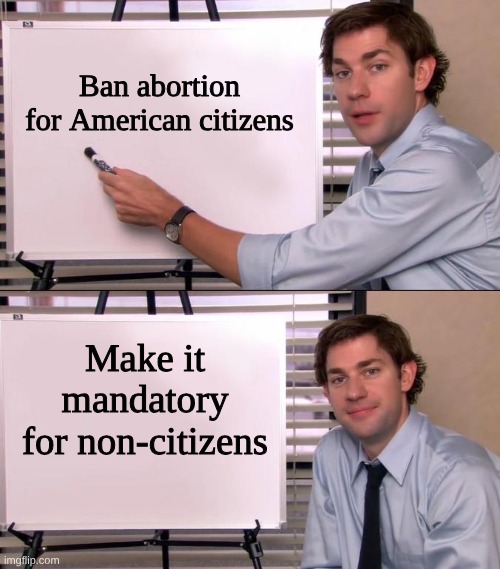 Ending birth-right citizenship | Ban abortion for American citizens; Make it mandatory for non-citizens | image tagged in jim halpert explains,abortion,birth right | made w/ Imgflip meme maker