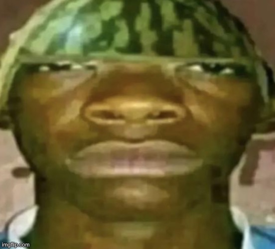 Day 10 of posting this in fun stream until it gets to front page | image tagged in watermelon hat | made w/ Imgflip meme maker