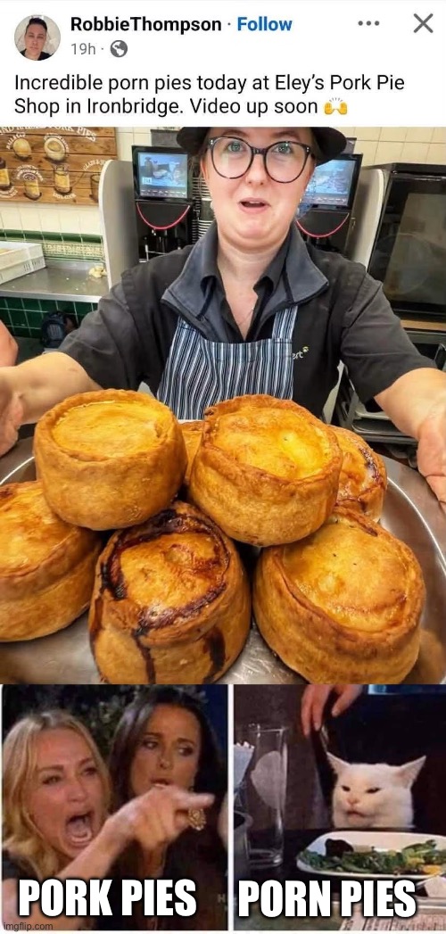 Porn Pies | Pork pies; Porn pies | image tagged in img_5087 jpeg,woman argues with cat,porn,pie,pork | made w/ Imgflip meme maker