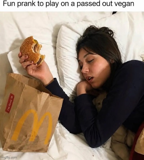 Fun prank | image tagged in repost,fun,prank,passed out,vegan,hamburger | made w/ Imgflip meme maker