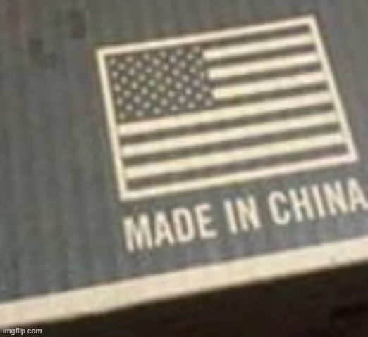 stupid | image tagged in stupid,stupid people,oh wow are you actually reading these tags | made w/ Imgflip meme maker