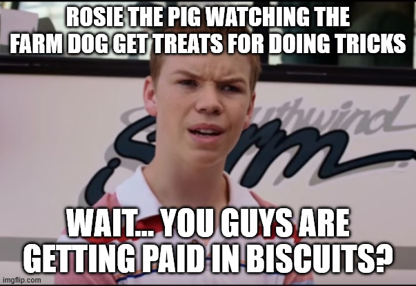 Rose -  PIG! | ROSIE THE PIG WATCHING THE FARM DOG GET TREATS FOR DOING TRICKS; WAIT... YOU GUYS ARE GETTING PAID IN BISCUITS? | image tagged in you guys are getting paid,rosie o'donnell,the pig | made w/ Imgflip meme maker
