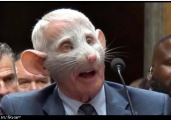 Dr Feces Rat Man | image tagged in dr feces rat man | made w/ Imgflip meme maker
