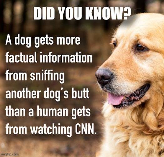 image tagged in cnn 09 jpg | made w/ Imgflip meme maker