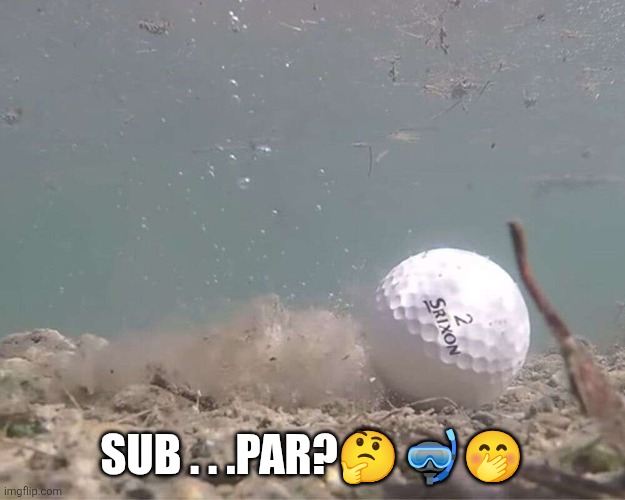 Sub . . .par???? | image tagged in sub par golf | made w/ Imgflip meme maker