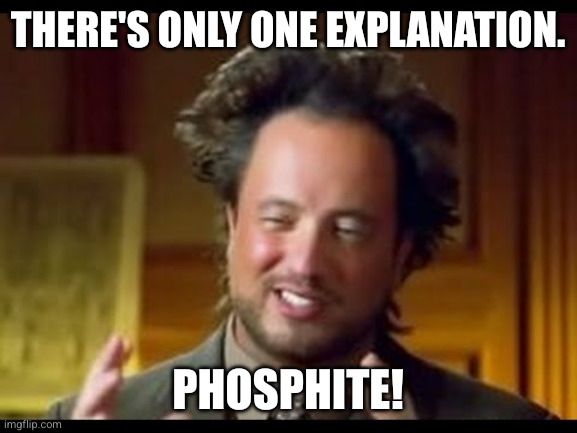 Giorgio Tsoukalos | There's only one explanation. Phosphite! | image tagged in giorgio tsoukalos | made w/ Imgflip meme maker