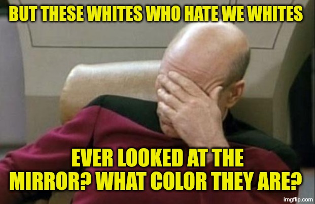 They think to be green maybe? | But these whites who hate we whites; Ever looked at the mirror? What color they are? | image tagged in memes,captain picard facepalm | made w/ Imgflip meme maker