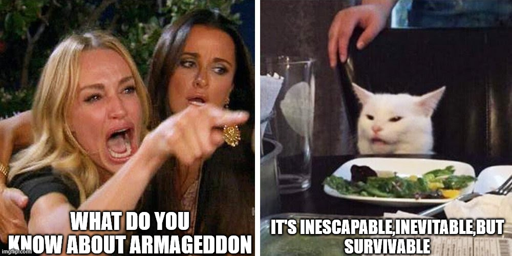 Smudge the cat | what do you know about armageddon; it's inescapable,inevitable,but survivable | image tagged in smudge the cat | made w/ Imgflip meme maker