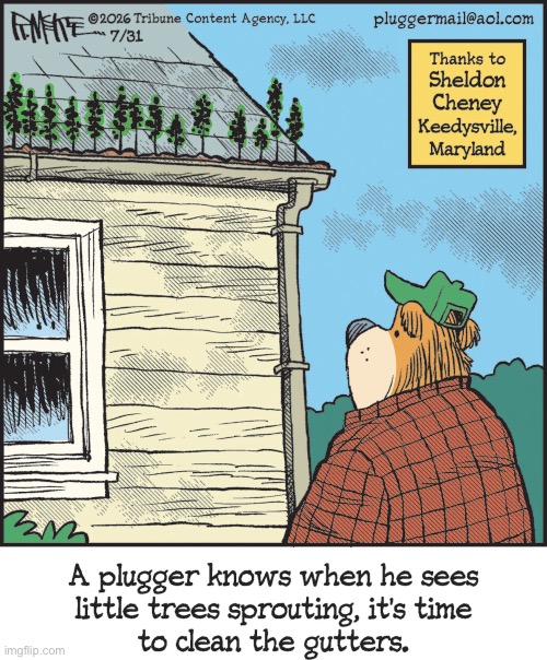 Pluggers | image tagged in comics,pluggers,gutters,little trees,clean out,its about time | made w/ Imgflip meme maker