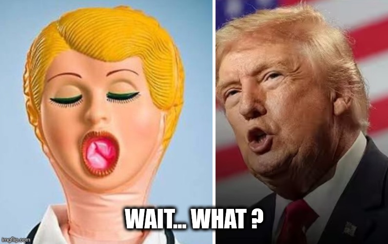 Donelda | Wait... what ? | image tagged in maga | made w/ Imgflip meme maker
