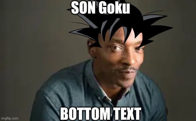 Funny meme | SON Goku; Bottom text | image tagged in son,meme,goku | made w/ Imgflip meme maker