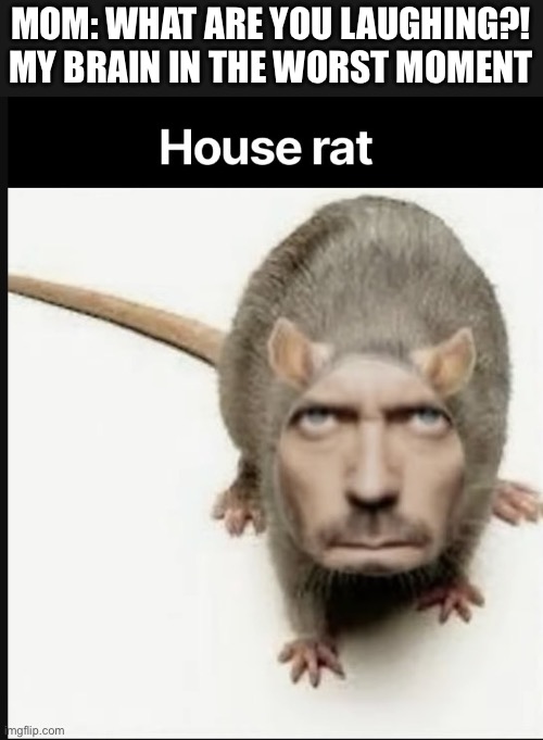 My brain | Mom: what are you laughing?!
My brain in the worst moment | image tagged in fun,dr house,rat,meme,brain,wtf | made w/ Imgflip meme maker