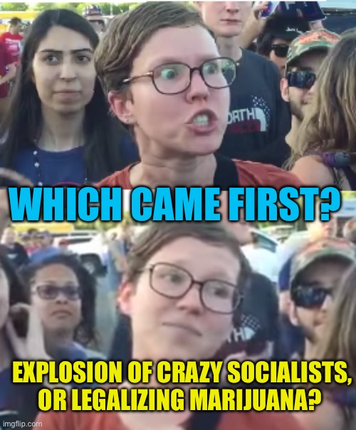 Where did all of the Crazy Socialists come from? | Which came first? Explosion of crazy socialists, or legalizing marijuana? | image tagged in two faced liberal snowflake,democrats,liberals,pot,marijuana | made w/ Imgflip meme maker
