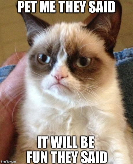 Grumpy Cat | PET ME THEY SAID IT WILL BE FUN THEY SAID | image tagged in memes,grumpy cat | made w/ Imgflip meme maker