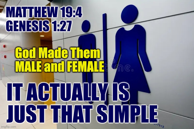 The Bible: Genesis 1:27 - Matthew 19:4 - Any Questions? Are You Still Confused?