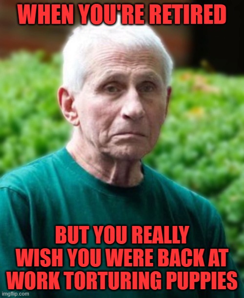 Fauci remembering the good old day | When you're retired; but you really wish you were back at work torturing puppies | image tagged in fauci old jpg,dr fauci,cute dogs,torture | made w/ Imgflip meme maker