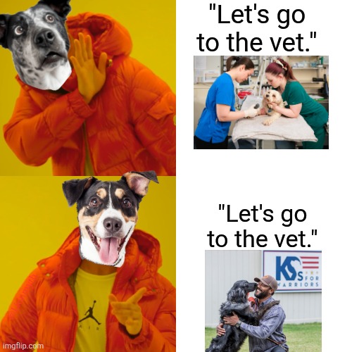 To the vet | "Let's go to the vet."; "Let's go to the vet."; @Lionmyth | image tagged in memes,drake hotline bling,veteran,veterinarian,dog | made w/ Imgflip meme maker