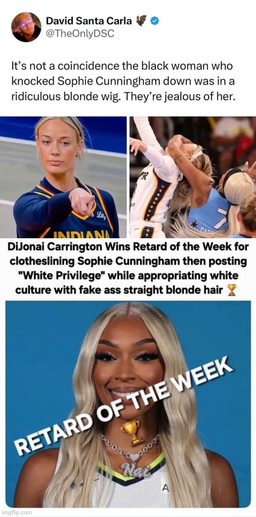Retard of the week clotheslines Sophie Cunningham | image tagged in img 3 jpeg,oh no it's retarded,attacks,sophie cunningham in game | made w/ Imgflip meme maker