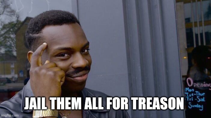 Roll Safe Think About It Meme | Jail them all for treason | image tagged in memes,roll safe think about it | made w/ Imgflip meme maker