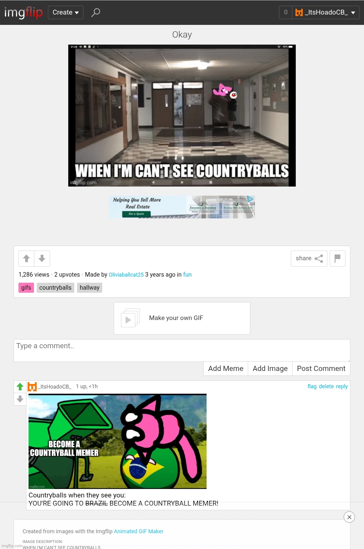 Misspell grammar anti-meme Imgfilper VS Countryball meme Imgfilper | image tagged in shitpost,countryballs,imgflip users,screenshot,imgflip,memes | made w/ Imgflip meme maker
