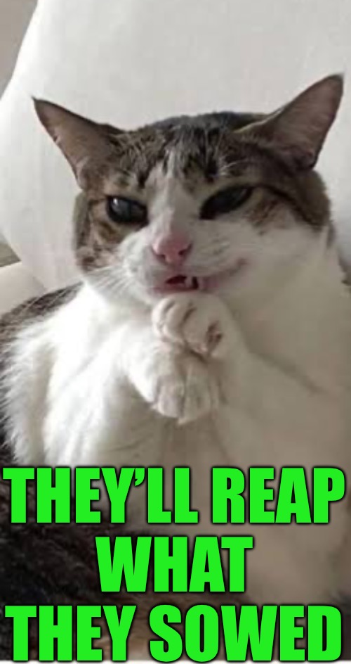 They’ll reap
what they sowed | made w/ Imgflip meme maker