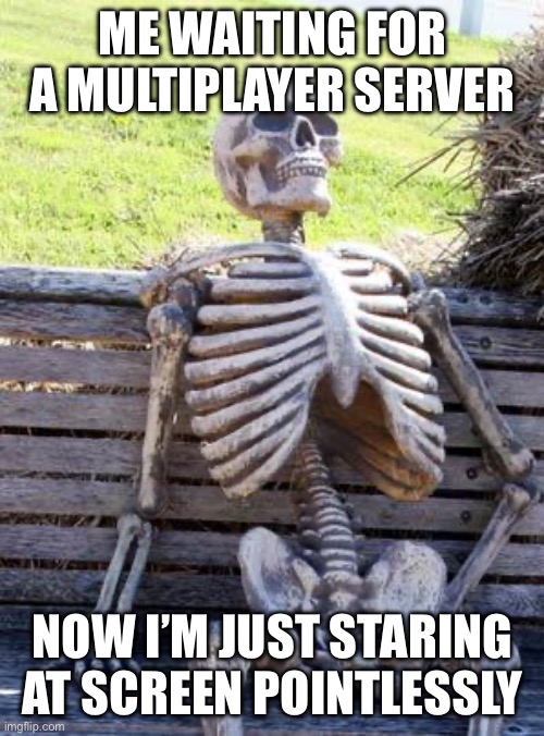 Nobody makes a multiplayer server these days | Me waiting for a multiplayer server; Now I’m just staring at screen pointlessly | image tagged in memes,waiting skeleton | made w/ Imgflip meme maker