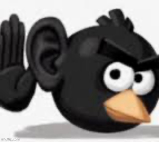 Black Angry Bird Ear | image tagged in black angry bird ear | made w/ Imgflip meme maker