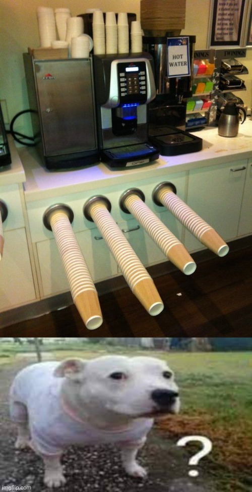 huh? | image tagged in dog question mark,funny,you had one job | made w/ Imgflip meme maker