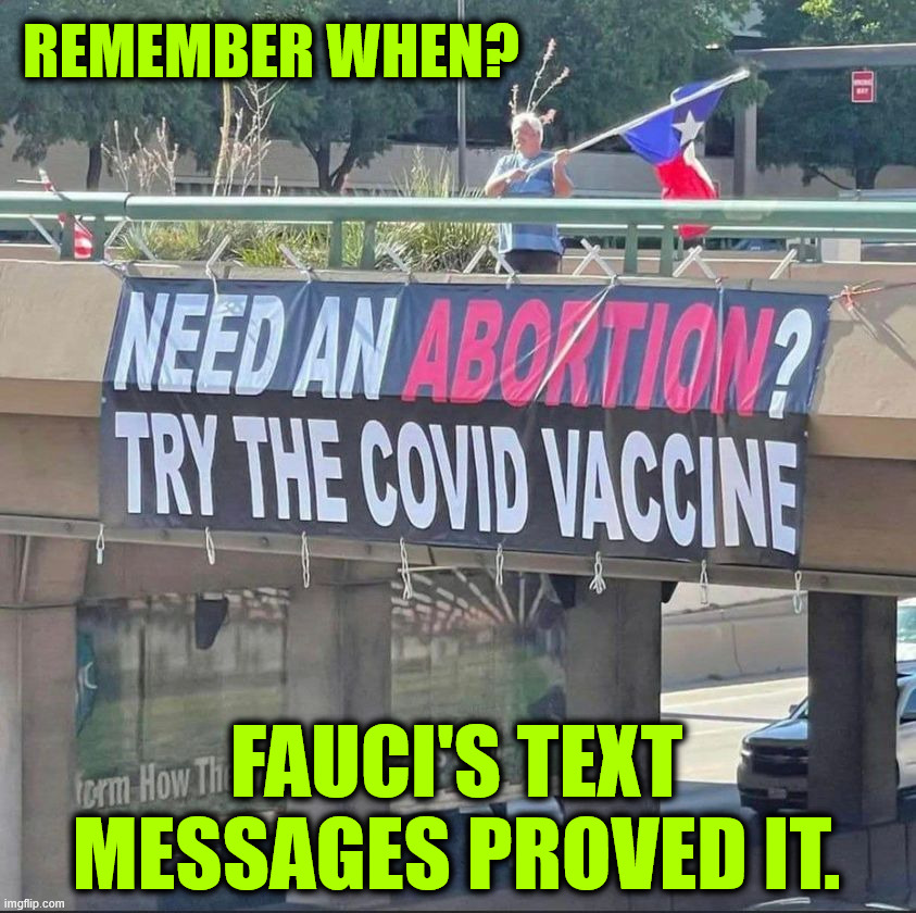 Remember when? | Remember when? Fauci's Text messages proved it. | image tagged in fauci texts messages,confirmation,covid vaccine | made w/ Imgflip meme maker