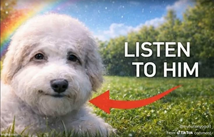 listen to him | image tagged in listen to him | made w/ Imgflip meme maker