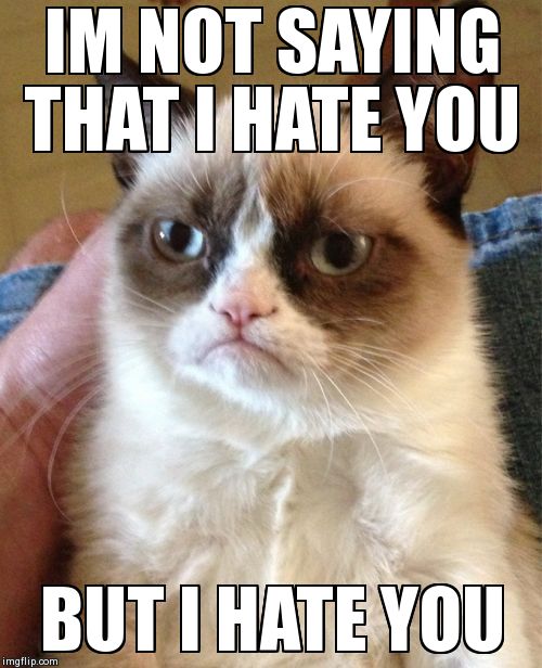 Grumpy Cat Meme | IM NOT SAYING THAT I HATE YOU BUT I HATE YOU | image tagged in memes,grumpy cat | made w/ Imgflip meme maker