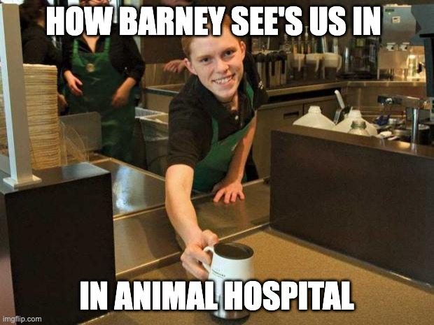 BRO WE ARE A HOSPITAL NOT STARBUCKS | how barney see's us in; in animal hospital | image tagged in fake smile starbucks girl,funny,barney,coffee,animal hospital,anomaly | made w/ Imgflip meme maker