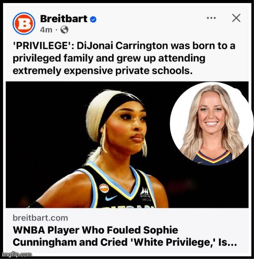 Girl who attacked Sophie Cunningham was a rich phony | image tagged in img 28 jpeg,rich phony,vs sophie cunningham | made w/ Imgflip meme maker
