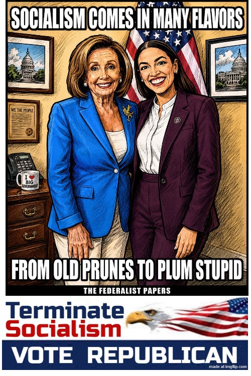 Flavor of the Day | image tagged in plum stupid,aoc stupid,aoc dumb rocks,no socialism,no islam,nancy pelosi | made w/ Imgflip meme maker