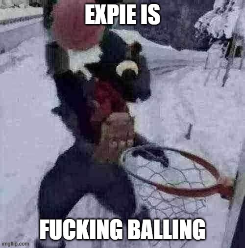 EXPIE IS BALLING | image tagged in expie is balling | made w/ Imgflip meme maker