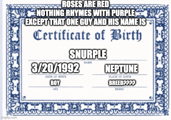 roses are dark pink | Roses are red
nothing rhymes with purple
except that one guy and his name is; snurple; 3/20/1992; Neptune; boy; breed???? | image tagged in birth certificate,sfw,abcdefghijklmnopqrstuvwxyz | made w/ Imgflip meme maker