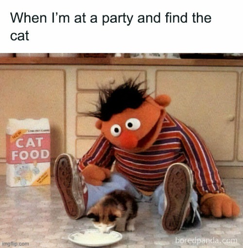 Cat Found | image tagged in repost | made w/ Imgflip meme maker