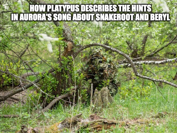 it's barely there (Spoilers for book 16) | How platypus describes the hints in aurora's song about snakeroot and beryl | image tagged in images-9 jpeg | made w/ Imgflip meme maker
