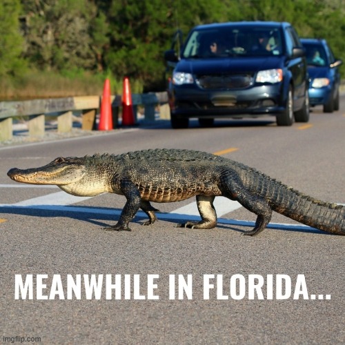 Florida memes 02.jpg | image tagged in florida memes 02 jpg | made w/ Imgflip meme maker