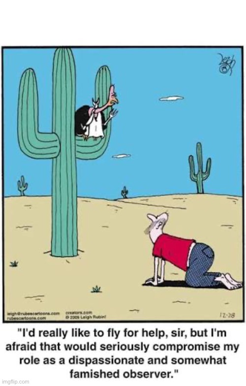 Rubes | image tagged in comics,rubes,desert,vulture,help,famished | made w/ Imgflip meme maker