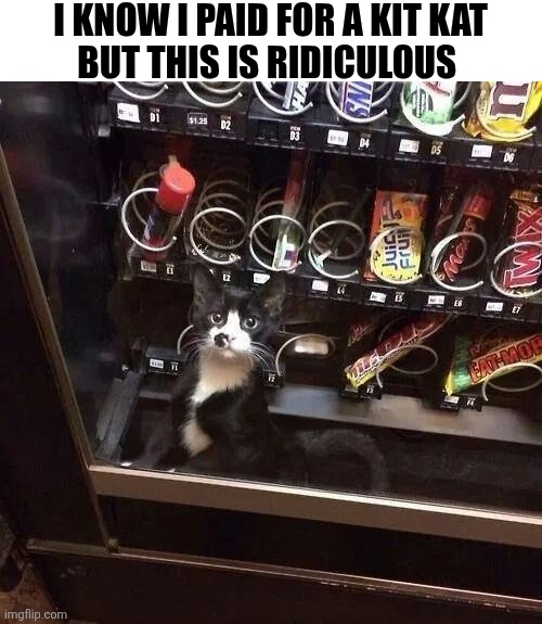 I Know I Paid For A Kit Kat But This Is Ridiculous | I know I paid for a kit Kat
But this is ridiculous | image tagged in chrisjoines1 | made w/ Imgflip meme maker