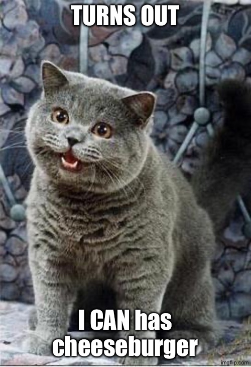 I can has cheezburger cat | Turns out I CAN has cheeseburger | image tagged in i can has cheezburger cat | made w/ Imgflip meme maker