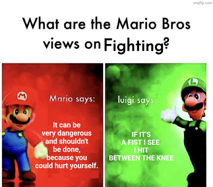 Mario Bros Views | Fighting; It can be very dangerous and shouldn't be done, because you could hurt yourself. If it's a fist I see 
I hit between the knee | image tagged in mario bros views,mario,luigi | made w/ Imgflip meme maker