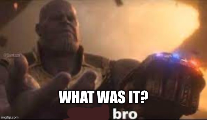 x bro | What was it? | image tagged in x bro | made w/ Imgflip meme maker