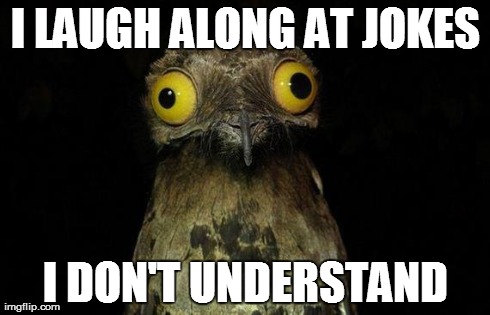 Weird Stuff I Do Potoo Meme | I LAUGH ALONG AT JOKES I DON'T UNDERSTAND | image tagged in memes,weird stuff i do potoo | made w/ Imgflip meme maker