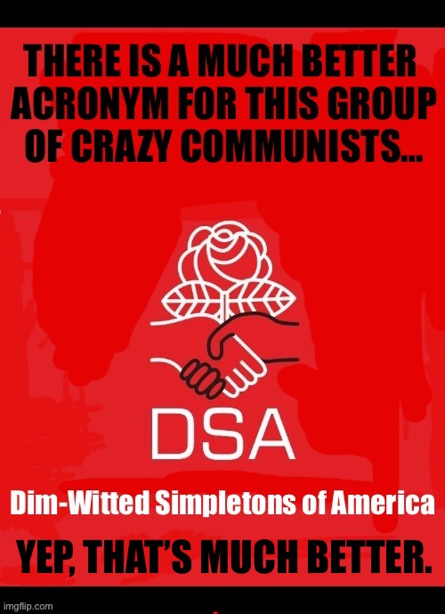 Thanks to the great conservative political cartoonist Tom Stiglich for creating the original acronym | Yep, that’s MUCH better. | image tagged in political meme,dsa,better,acronym,dimwitted simpletons of america,much better | made w/ Imgflip meme maker