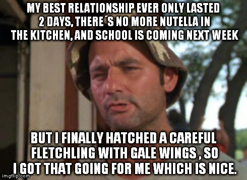 So I Got That Goin For Me Which Is Nice | MY BEST RELATIONSHIP EVER ONLY LASTED 2 DAYS, THEREÂ´S NO MORE NUTELLA IN THE KITCHEN, AND SCHOOL IS COMING NEXT WEEK BUT I FINALLY HATCHED  | image tagged in memes,so i got that goin for me which is nice | made w/ Imgflip meme maker