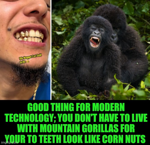 Funny | Good thing for modern technology; you don't have to live with mountain gorillas for your to teeth look like corn nuts | image tagged in funny,gorilla,teeth,gold,corn,nuts | made w/ Imgflip meme maker